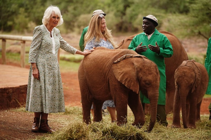 Royal visit to Kenya – Day Two