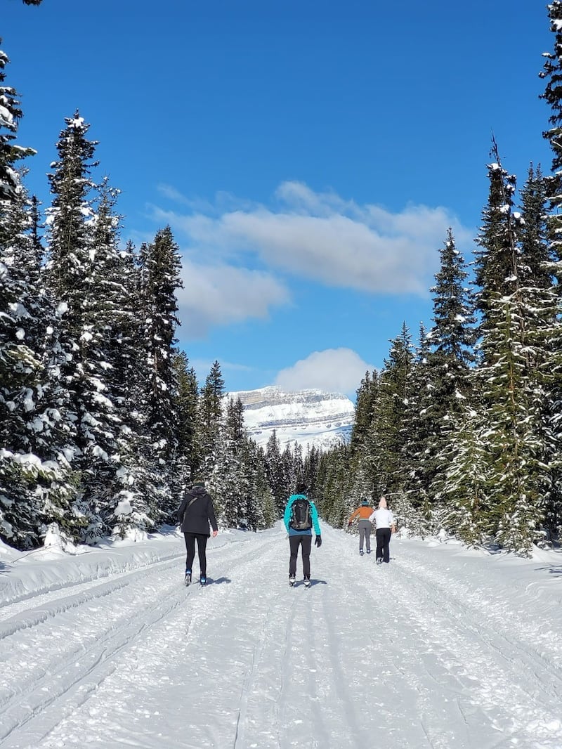 Cross country skiing in Bow Valley