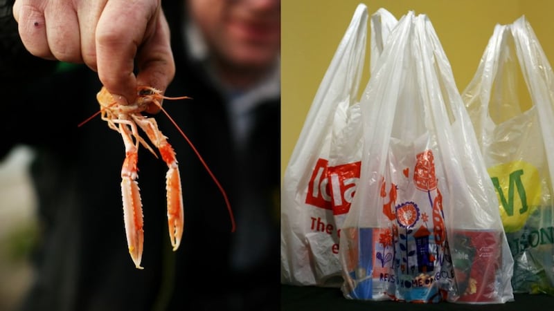 How shopping bags made out of prawns could save us all