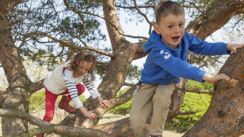 Parents shouldn&#39;t fear their child climbing a tree 