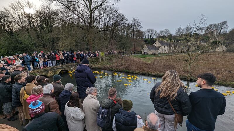 Some 3,000 rubber ducks are the stars of the show at the event
