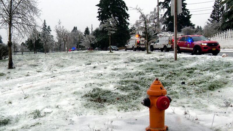 The scene of the power line accident where three people died (KGW via AP)