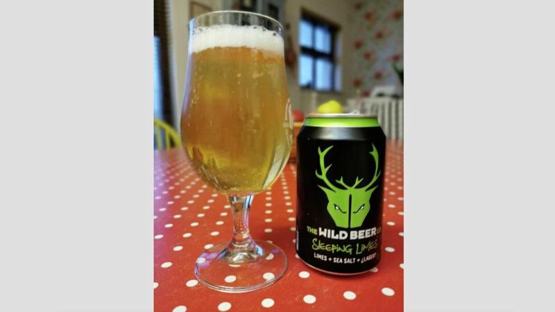 Sleeping Limes from Somerset brewers Wild Beer Co 