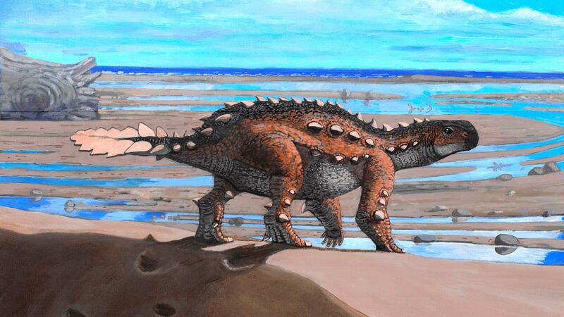 Scientists in Chile have found the fossils of a strange new dinosaur species.