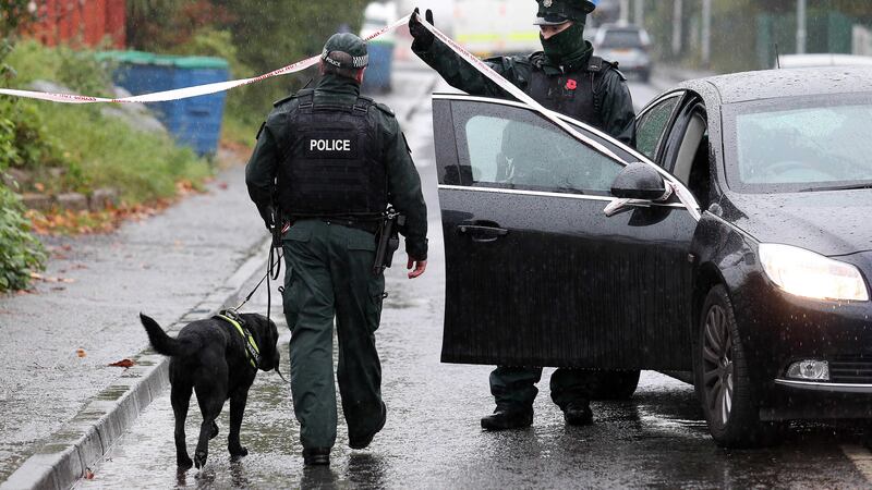 A police sniffer dog assists officers during the security alert in west Belfast &nbsp;