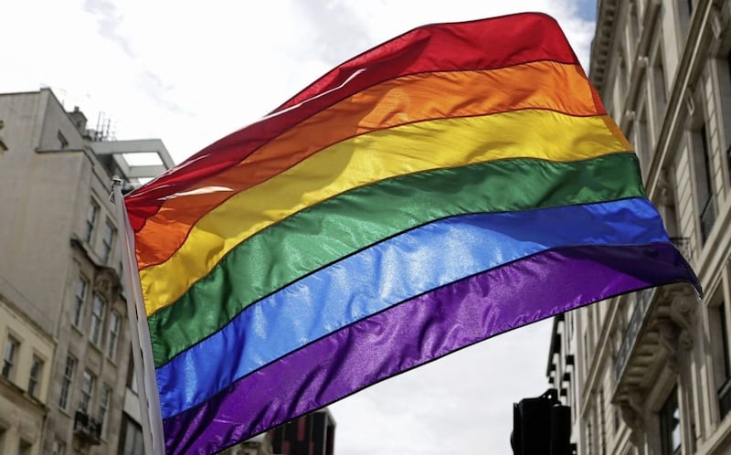DUP councillors are challenging a decision to fly a rainbow flag on council premises 
