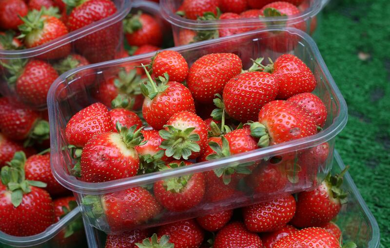 British berries are ‘big business’ for the UK economy with year-round retail-sales hitting £1.87 billion