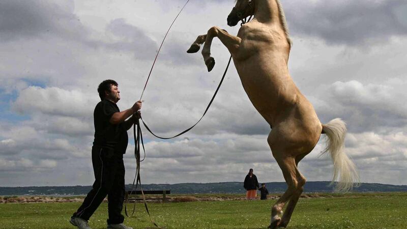 Circus owner David Duffy with his performing horse Jewell&nbsp;