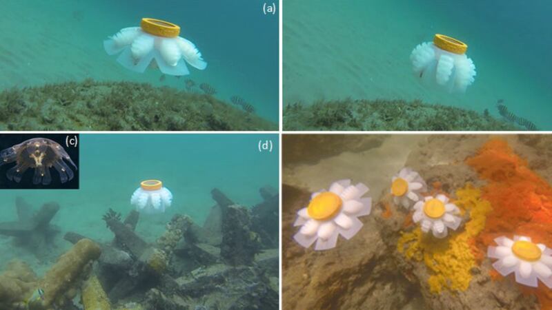 Soft ‘jellybots’ could be used to explore and study fragile environments without damaging them, say scientists.