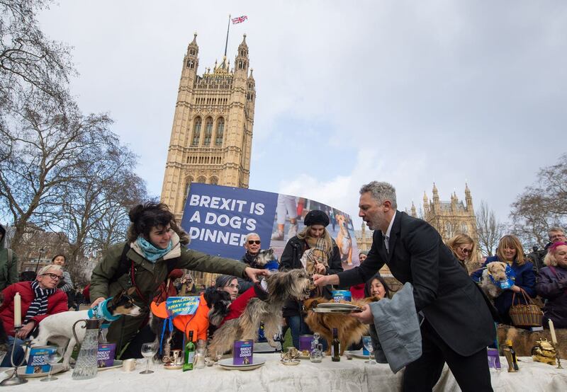 Dogs are served with food during an anti-Brexit event billed as “the biggest dog’s dinner in history” (Dominic Lipinski/PA)