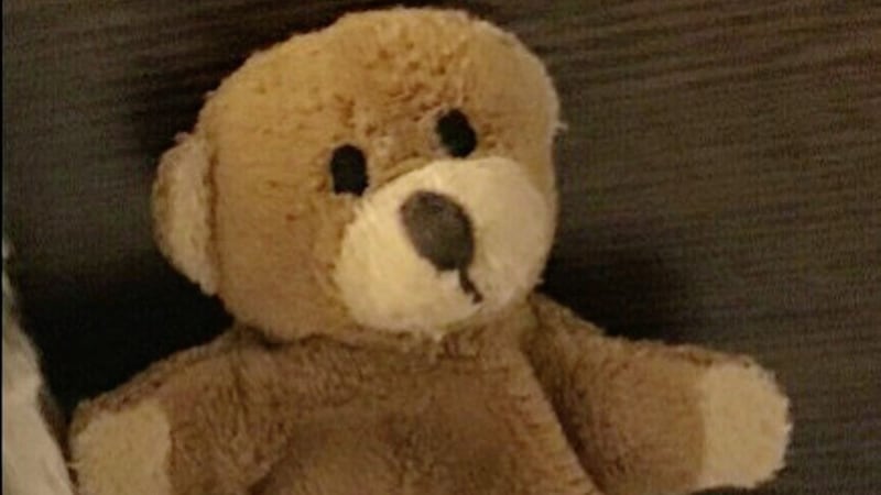A &euro;200 reward has been offered for the return of a brown bear lost by a Polish tourist 