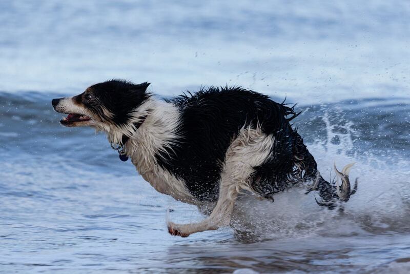 UK’s Ultimate sea view photography competition 2020