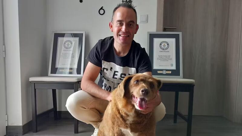 Bobi with his owner Leonel Costa and Guinness World Record certificates for title of oldest dog. Associated Press/Alamy Stock Photo