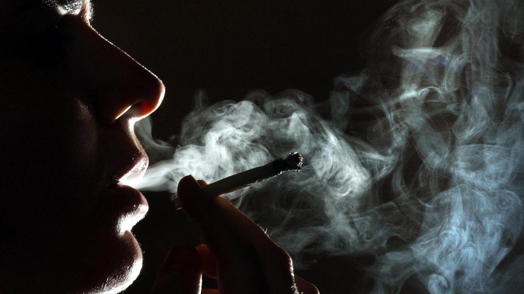 Some 137 tonnes of herbal cannabis were seized by officials in England and Wales in 2024/25 – the largest annual quantity on record