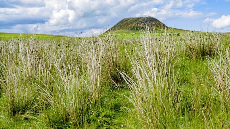 Slemish &ndash; looking up from the muddle of German and English and the dreaded Physics is Fun, I&rsquo;d rest my eyes on my holy mountain 