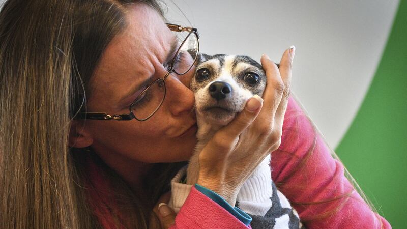 The 14-year-old named Dutchess was found hungry and shivering under a shed.