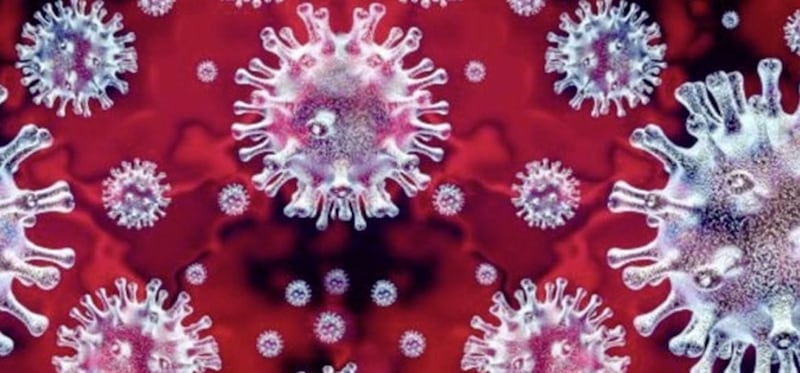 Deaths in Spain from the coronavirus have shot up