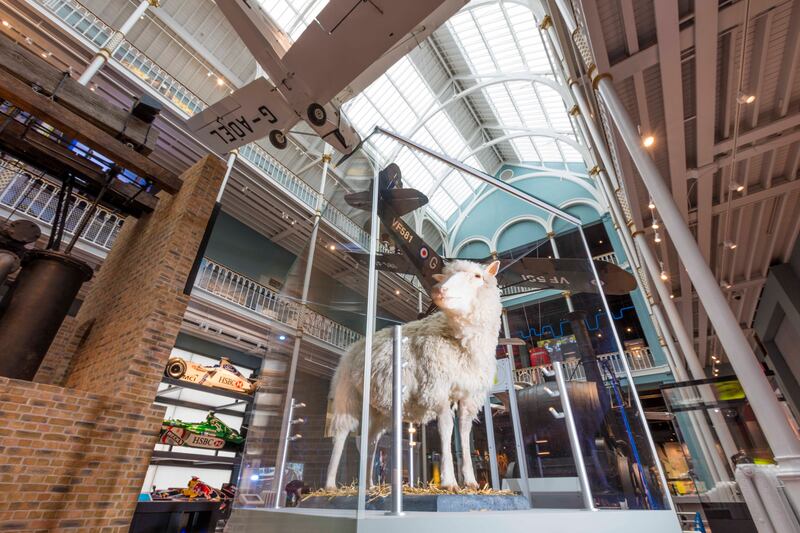 Dolly the sheep at the National Museum of Scotland