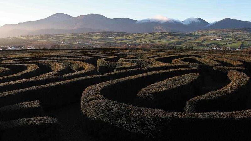 Early morning sun illuminates the Peace Maze at Castlewellan in South Down. Picture by Mal McCann 