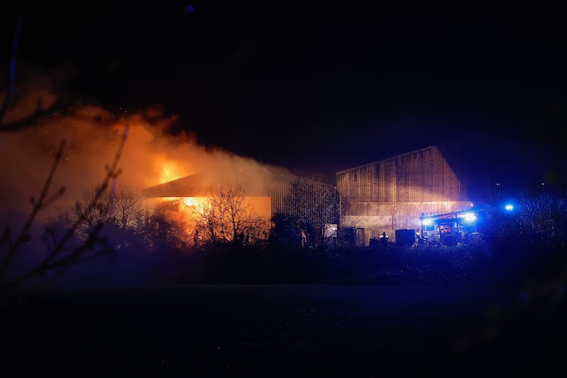 300 sheep rescued from Co Down shed fire as over 40 firefighters tackle large blaze