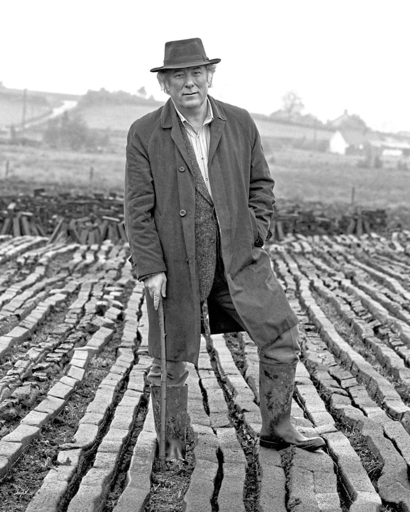 Seamus Heaney at a turf bog in Bellaghy, Co Derry, in 1986 