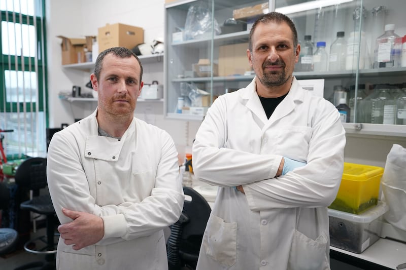 Dr John Dunbar (left) and Dr Michel Dugon of the Venom Lab at National University of Ireland Galway. Picture by Niall Carson/PA Wire&nbsp;
