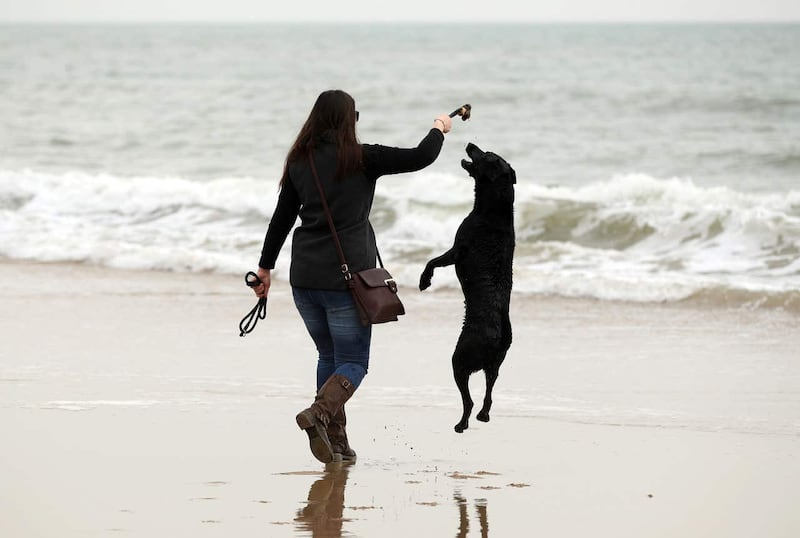 Bruno the dog plays on Bournemouth beach, with temperatures in line to rival the Med this weekend (Adam Davy/PA)
