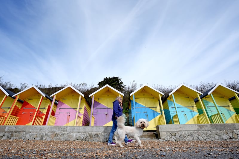 A dog enjoys a walk during fine weather along the promenade in Folkestone, Kent