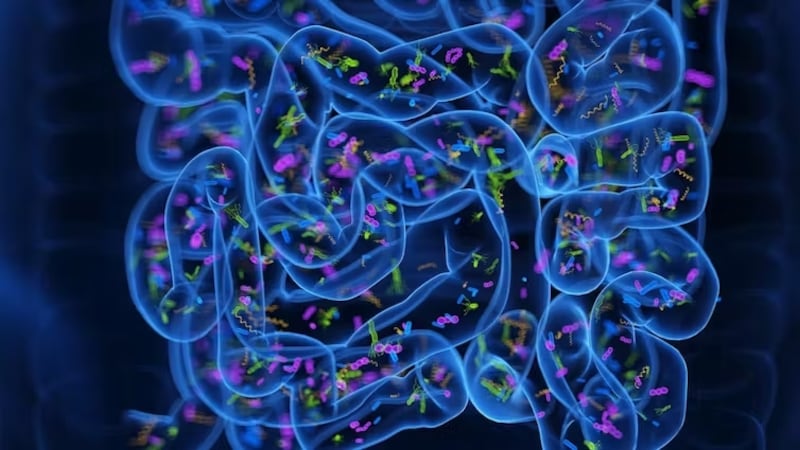 We might have to re-think the gut microbiome. SciePro/Shutterstock