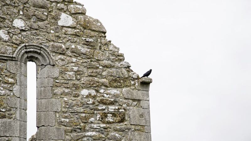 A crow surveys the landscape from the vantage of a ruined church gable 