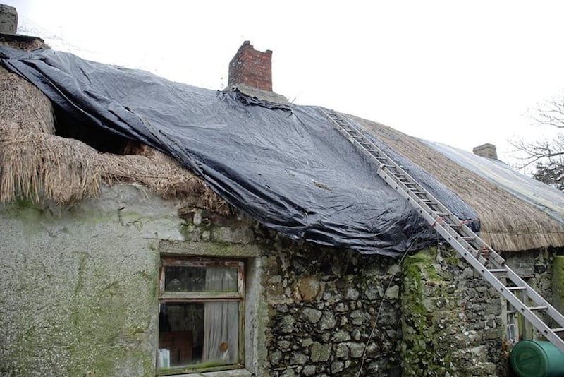 Temporary repairs to the roof of Seacoast Cottage. The thatch was damaged by storms in 2014. 