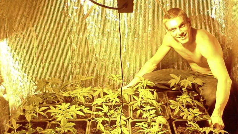Royal Marine, Ciaran Maxwell with cannabis plants he had been growing at an address in England. 