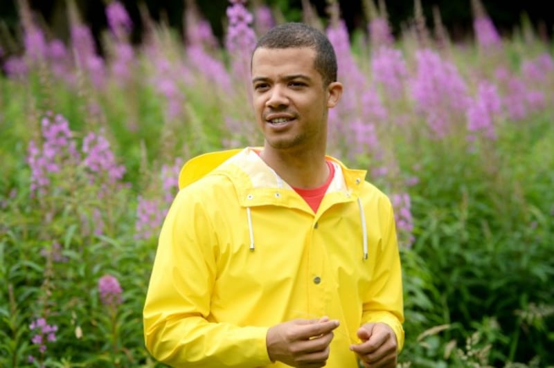 Musician and actor Raleigh Ritchie