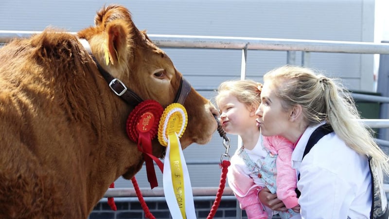 Katelin and Tara O&#39;Brien with prize winning Lollipop the Limousin cow at the 150th Balmoral Show Picture Mal McCann. 