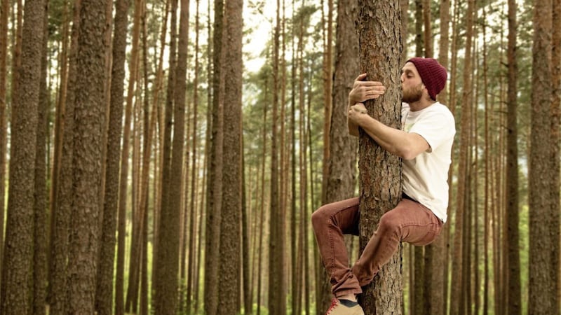Spending mindful time in forests positively affects our body chemistry 