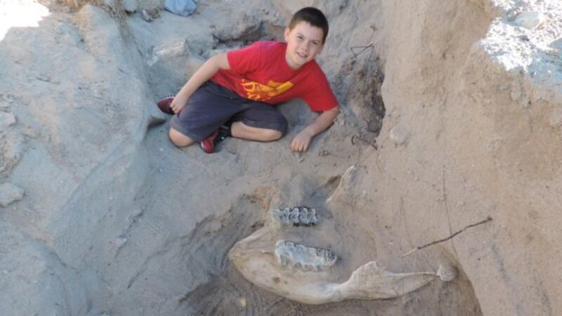 This nine-year-old boy literally stumbled across an incredibly rare, 1.2 million-year-old fossil