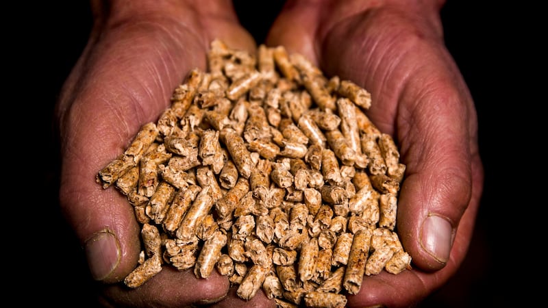 The RHI scheme was set up in 2012 to encourage businesses and other non-domestic users to switch to environmentally friendly wood pellet burning systems (Liam McBurney/PA)