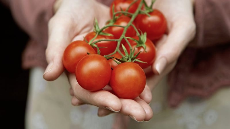Tomatoes are high in lycopene, which is good news for your heart 