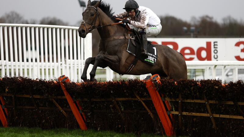 Constitition Hill looks impossible to oppose in the Unibet Champion Hurdle on day one of the Cheltenham Festival on Tuesday