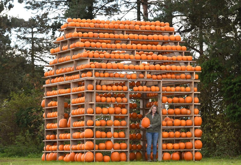 Pumpkin house in Norfolk
