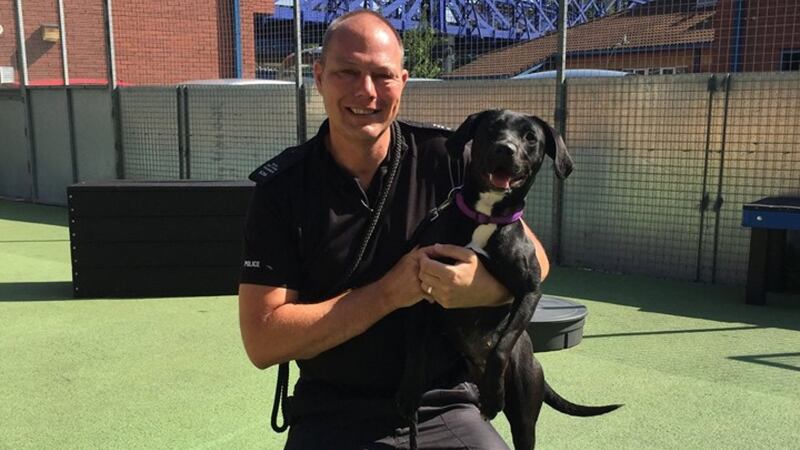 Raven has now been adopted and will be trained with Avon and Somerset Police.