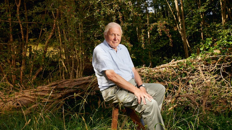 Sir David Attenborough returns with Planet Earth III (BBC/Mark Harrison/PA)