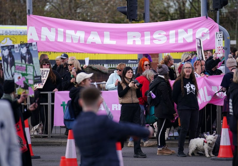 Animal Rising activists outside the gates last year