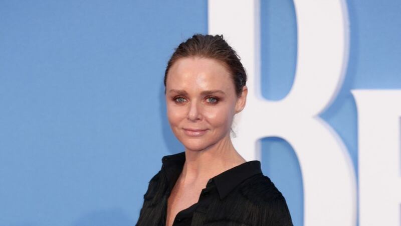 Stella McCartney apologises after bumping Mini Cooper into taxi