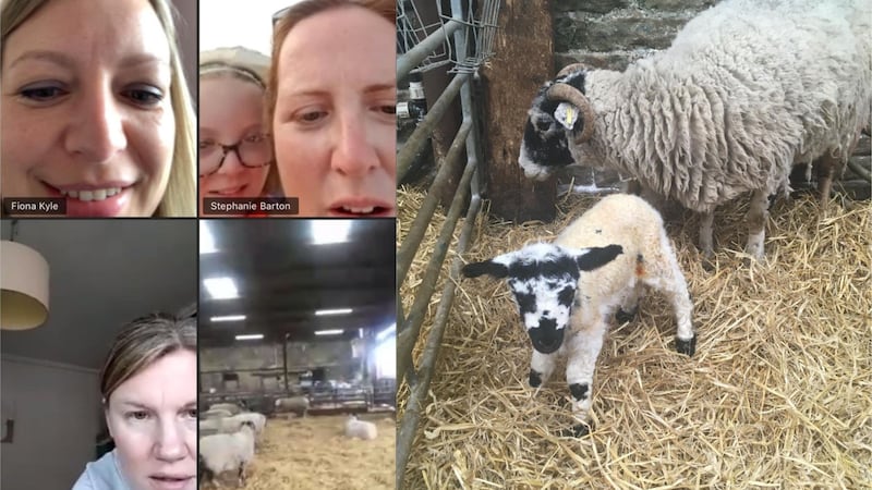 Farmer Rachael Caton did not want to miss out on talking to her friends so took part in the group chat from the lambing shed.