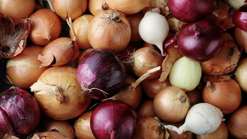 Onions, garlic, scallions and shallots can all be planted out at this time of year 