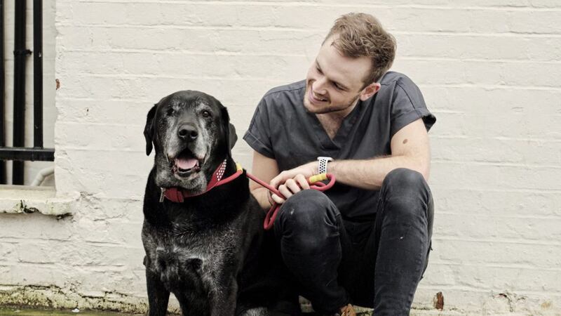 Vet Rory Cowlam plays a leading role in the CBBC show The Pets Factor 