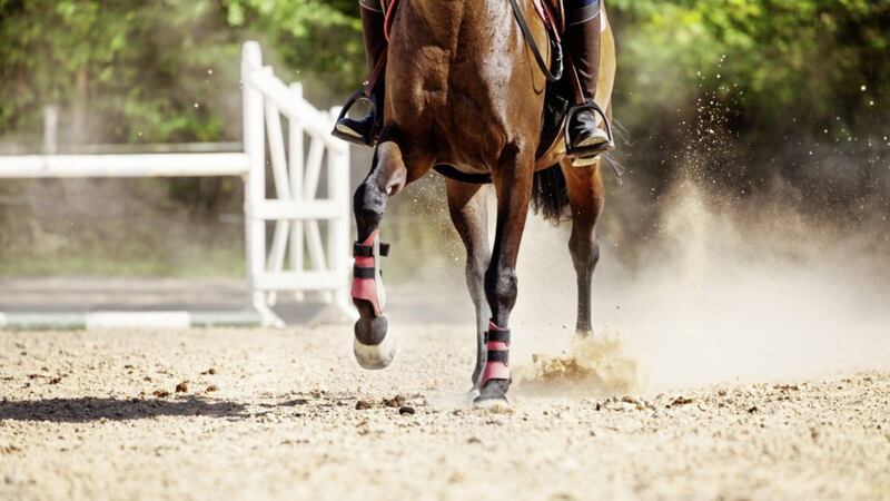 A gel used for more than a decade to treat wear and tear in horses&#39; leg joints is being rolled out to human patients waiting for knee replacement surgery. 