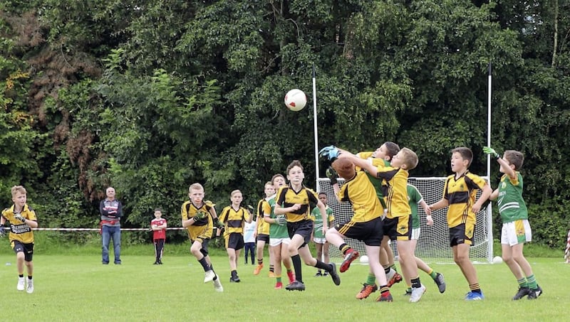 Sunday Sept 8 2019: St Brigid's GAC Under 10.5 Football Tournament at Belfast Harlequins RFC. Action from the games. Picture by Cliff Donaldson.