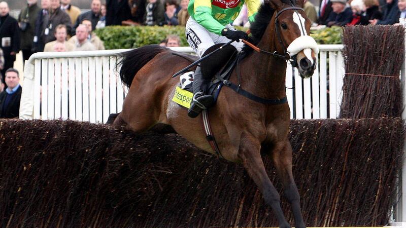 Kauto Star, the first horse to regain the Cheltenham Gold Cup, has been put down after a fall 